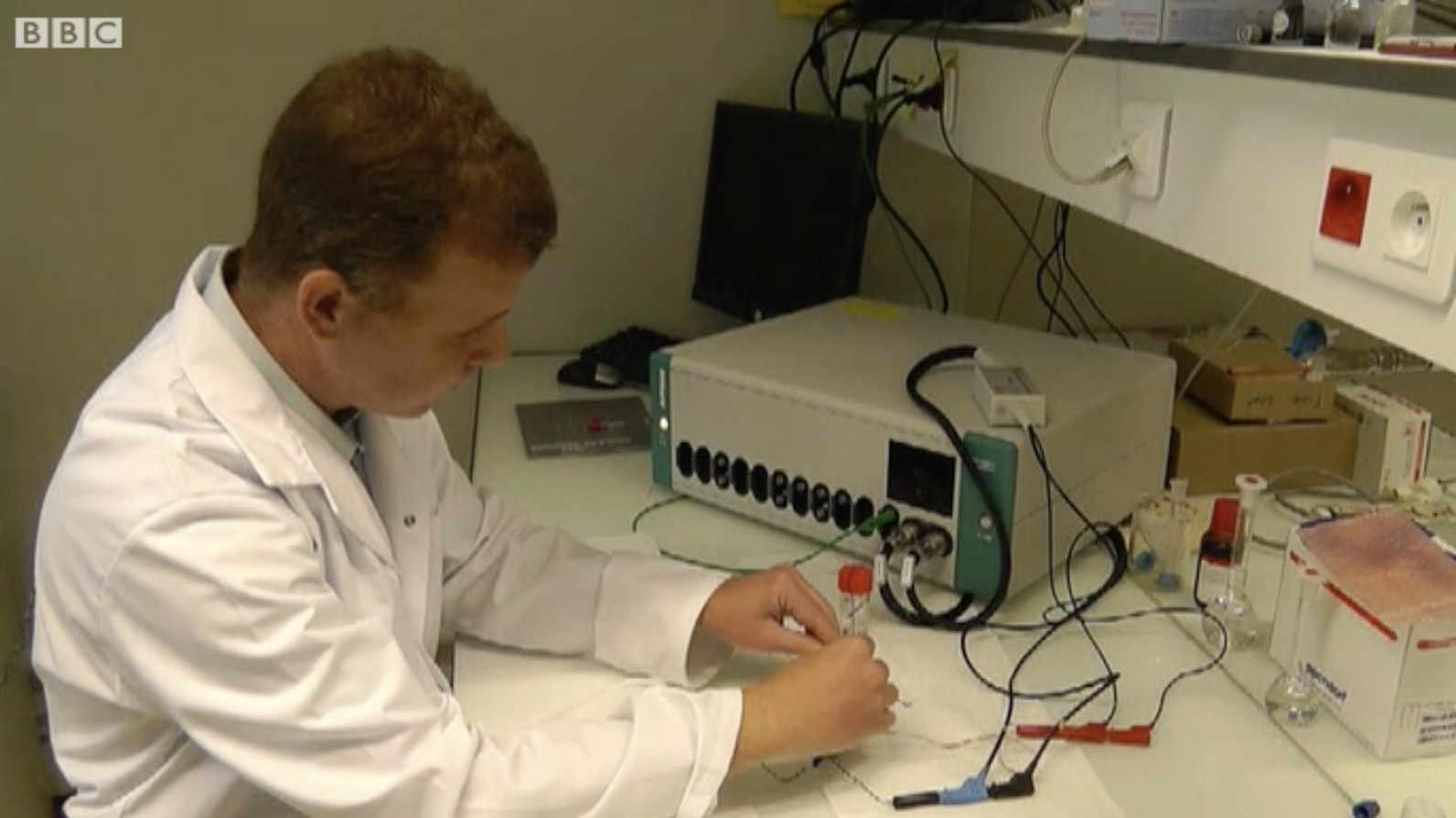 bio fuel cell