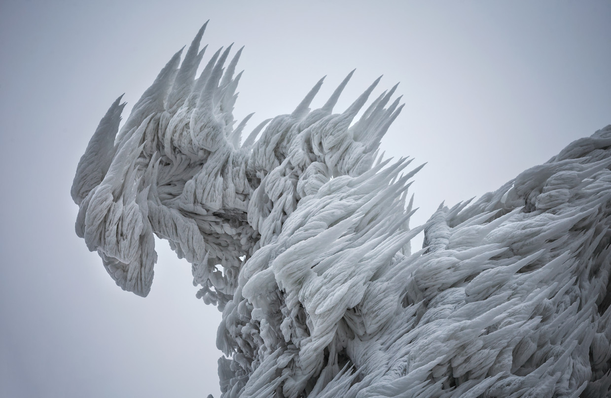 photograph of whind swept ice