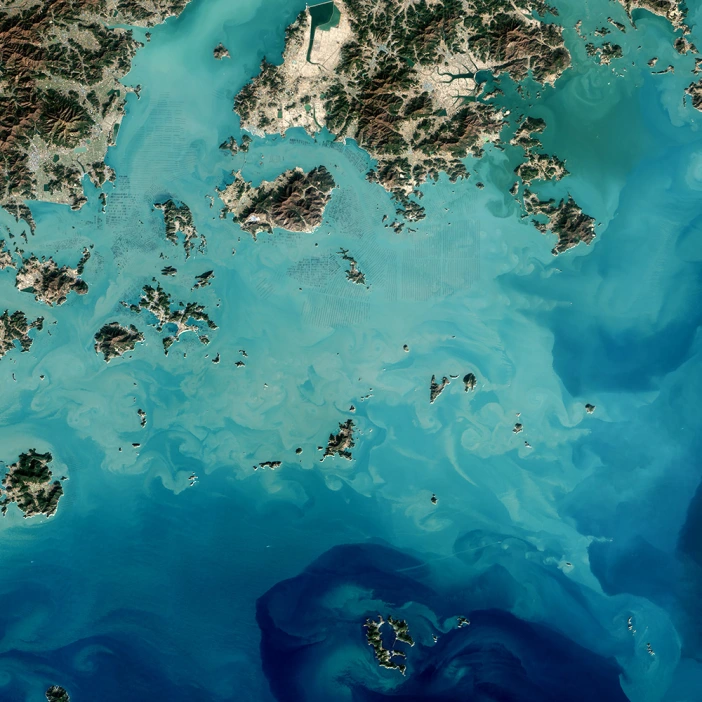 Seaweed by NASA